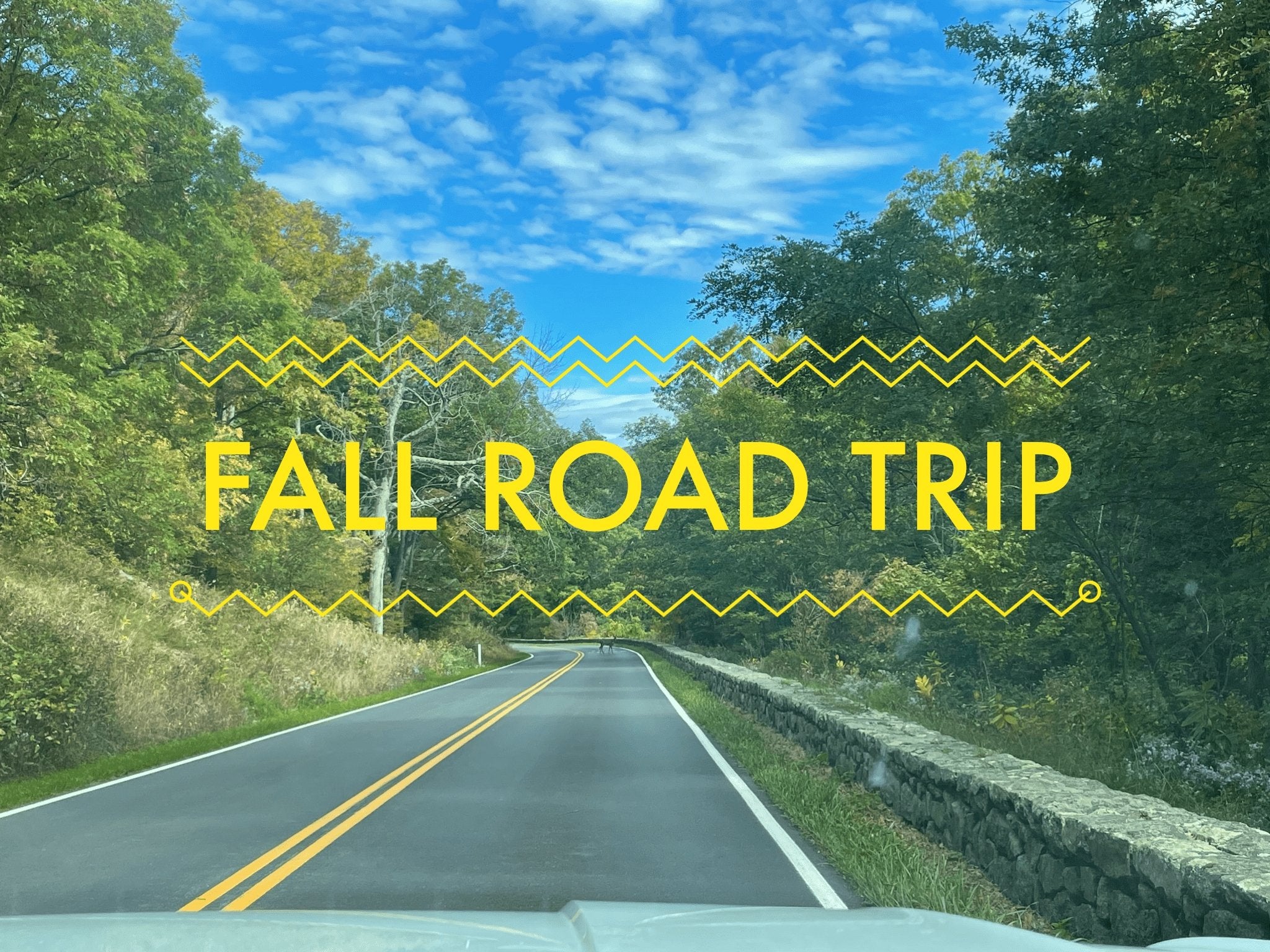 Road Trippin' with the Family - notebooks & honey